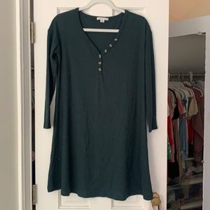 Green American Eagle Dress